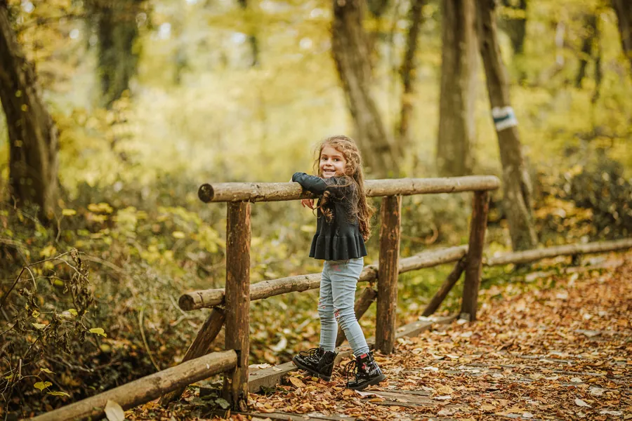 Maedchen an einem Holzgelaender im Herbstwald