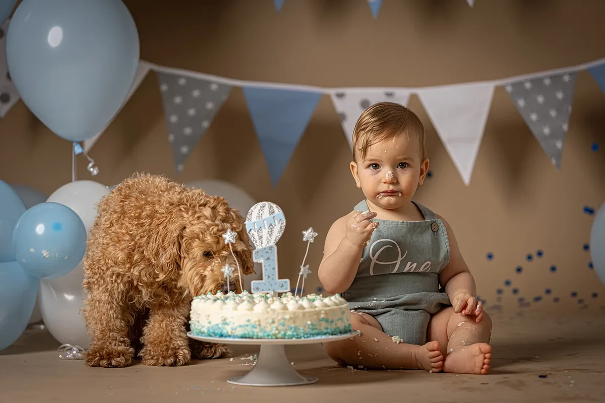 Smash the Cake
